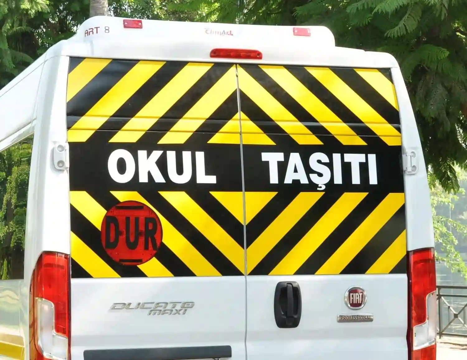 Slide Image